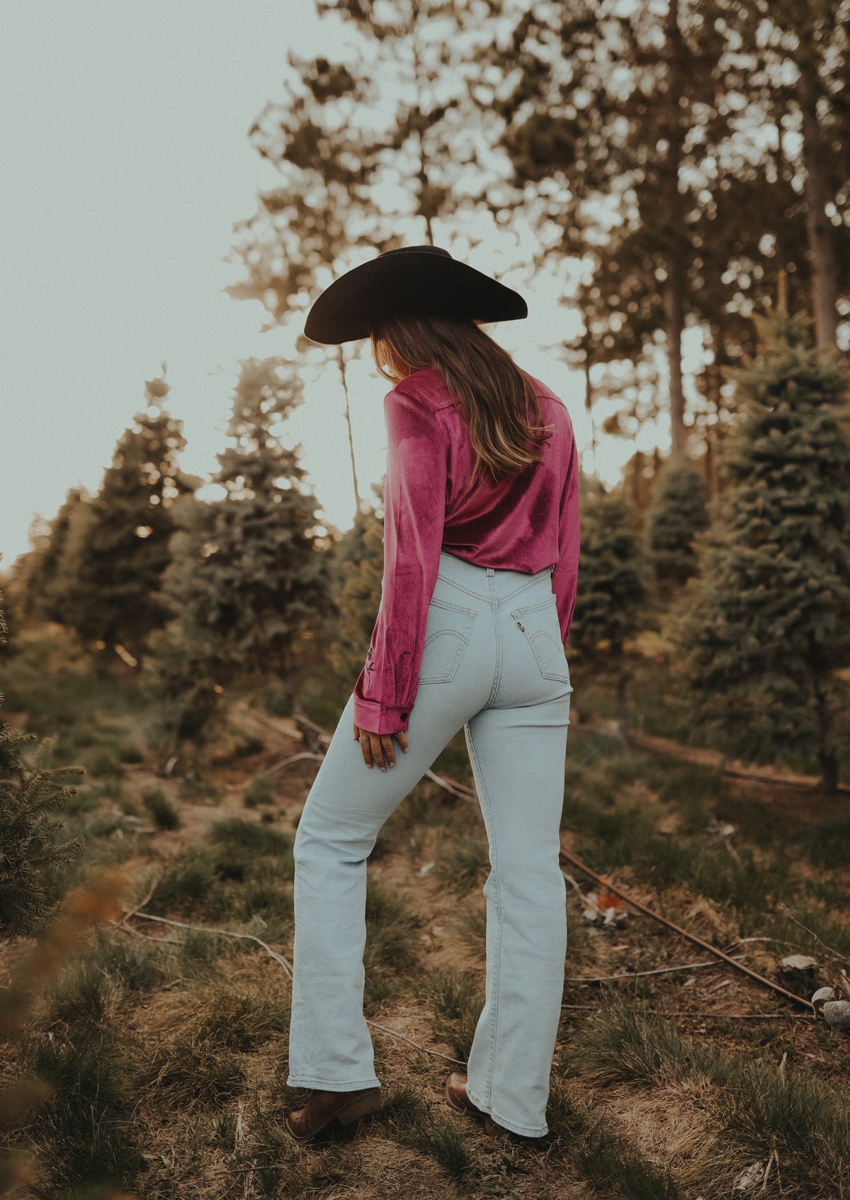 Pink Night Velvet Rodeo Shirt – Ivys Rose